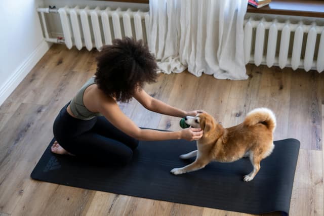 Yoga Strap & Stretching Belt